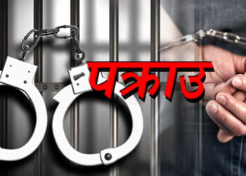 नक्कली सवारी दर्ता किताव बनाउने तेमालका दिल बहादुर पक्राउ