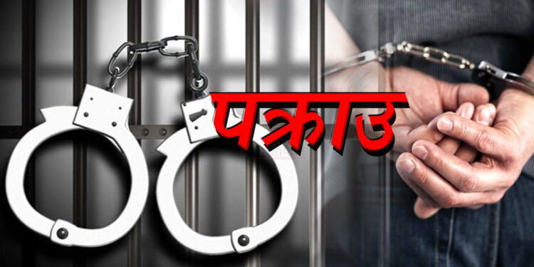 नक्कली सवारी दर्ता किताव बनाउने तेमालका दिल बहादुर पक्राउ