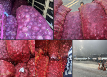 काभ्रेभञ्ज्याङबाट सत्ताईस लाख बराबरको ४०१ बोरा अवैध प्याज बरामद