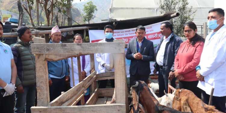 रोशीमा पिपिआर विरुद्धको खोप अभियान शुरु