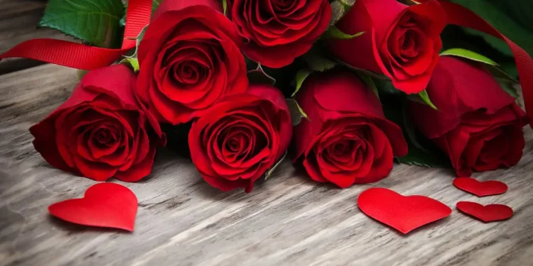 आज प्रणय दिवसः एक करोड ८० लाख रुपैयाँ बराबरको गुलाब बिक्री हुने अनुमान