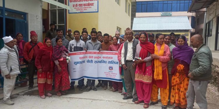 बेथानचोकका किसानलाई सुन्तला खेति सम्बन्धि तालिम