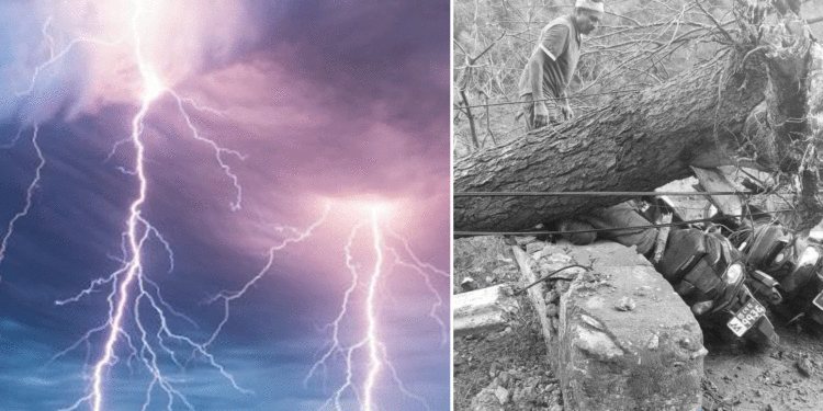 हावाहुरी र चट्याङसँगै भएको वर्षाबाट दैलेखमा चट्याङ लागेर बालिका र पाल्पामा स्कुटर चालकको मृत्यु