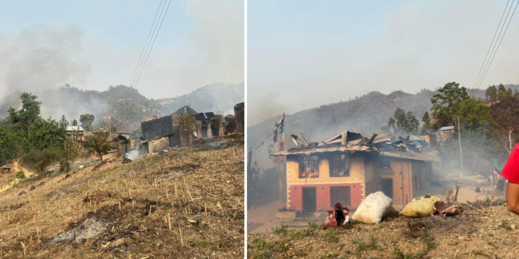 रोशीमा जंगलको डढेलो बस्तीमा पस्दा करोडौँको क्षति, यस्तो छ क्षतिको विवरण