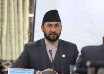 गृहमन्त्री रवि लामिछानेकाको अधिकांश सम्पत्ति पत्नीको नाममा