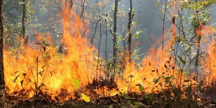 महाभारत–४ गोठडाँडामा जंगलको डढेलो गाउँमा पस्दा तीन घर जलेर नष्ट