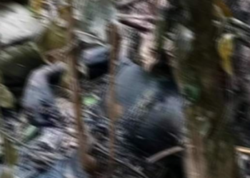 рдкрд╛рдБрдЪрдЦрд╛рд▓рдХреЛ рдЬрдВрдЧрд▓рдорд╛ рдЬрд▓реЗрдХреЛ рдЕрд╡рд╕реНрдерд╛рдорд╛ рд▓рд╛рд╢ рдлреЗрд▓рд╛, рдЬрд▓рд╛рдПрдХреЛреЗ рдЖрд╢рдВрдХрд╛рдорд╛ рдЕрдиреБрд╕рдиреНрдзрд╛рди рд╢реБрд░реБ