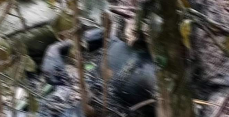 पाँचखालको जंगलमा जलेको अवस्थामा लाश फेला, जलाएकोे आशंकामा अनुसन्धान शुरु