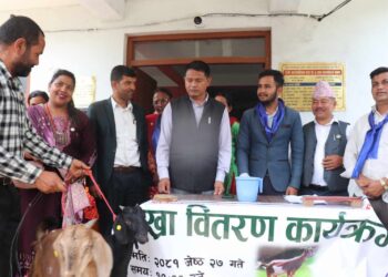 रोशीका दलित समुदायलाई बाख्रा वितरण