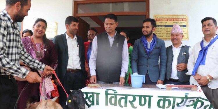 रोशीका दलित समुदायलाई बाख्रा वितरण