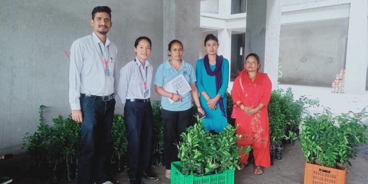 रोशीका किसानहरुलाई निःशुल्क फलफूलको बिरुवा र तरकारीको बिउ वितरण