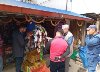 भुम्लु र चौरीदेउराली गाउँपालिकामा संयुक्त बजार अनुगमन