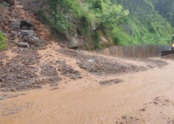 रोशी–११ स्थित भ्याकुरे खोलाले बगाउँदा फुपु र भदैनीको मृत्यु