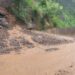 रोशी–११ स्थित भ्याकुरे खोलाले बगाउँदा फुपु र भदैनीको मृत्यु