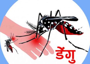 काभ्रे जिल्लामा २ सय ५१ जनामा डेंगु संक्रमण