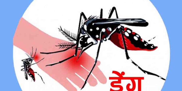 काभ्रे जिल्लामा २ सय ५१ जनामा डेंगु संक्रमण
