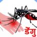 काभ्रे जिल्लामा २ सय ५१ जनामा डेंगु संक्रमण