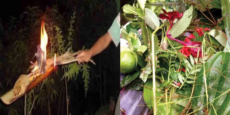 आज साउने सङ्क्रान्ति पर्व आफन्तसँग जमघट र लुतो फालेर मनाइँदै