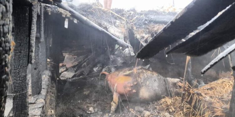बनेपाको एक गाईगोठमा आगलागि हुँदा करिब ५ लाख बराबरको क्षती