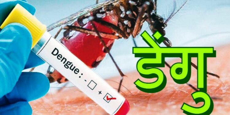 सरकारी अस्पतालहरुमा डेङ्गी सङ्क्रमितको उपचार निःशुल्क