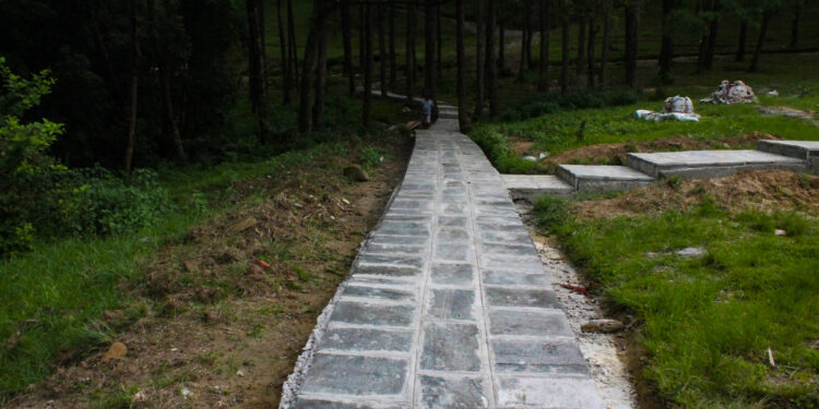 बनेपामा विदेशी नागरिक लुटपाट गर्ने तीन जना पक्राउ