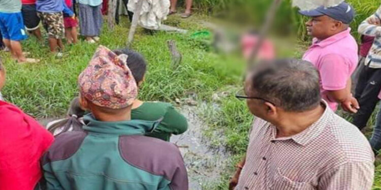 बनेपा–११ सल्लेकी महिला पनौतीमा मृत फेला