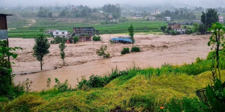 नमोबुद्धले गर्योे प्रारम्भिक क्षतिको विवरण सार्वजनिक, यस्ता छन् क्षतिको विवरणहरुः