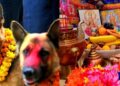 आज कुकुर तिहार र लक्ष्मीपूजा एकै दिन मनाइँदै