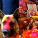 आज कुकुर तिहार र लक्ष्मीपूजा एकै दिन मनाइँदै
