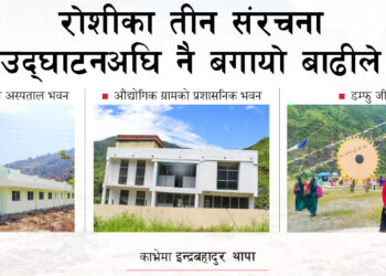 रोशीका यी तीन संरचना जुन उद्घाटन अघि नै बगायो बाढीले