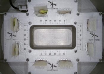 भारतले अन्तरिक्षमा पठाएको काउलीको बिउमा टुसा पलायो