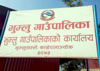 किसानहरुले उत्पादन गरेको साग खरिद गर्दै भुम्लु गाउँपालिका