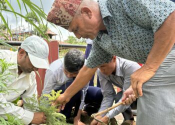 राष्ट्रिय धान दिवसको अवसरमा नव प्रतिभा बाल क्लबद्धारा वृक्षरोपण