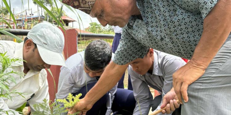 राष्ट्रिय धान दिवसको अवसरमा नव प्रतिभा बाल क्लबद्धारा वृक्षरोपण