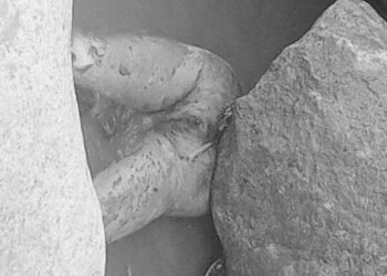 रोशी–३ फलामेसागु स्थित रोशी खोलाको किनारमा शव फेला