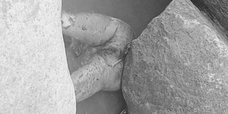 रोशी–३ फलामेसागु स्थित रोशी खोलाको किनारमा शव फेला