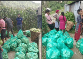 सिपालीमा काक्रो उत्पादन प्रशस्त, तर पुल नहुँदा बजार पुर्याउन समस्या