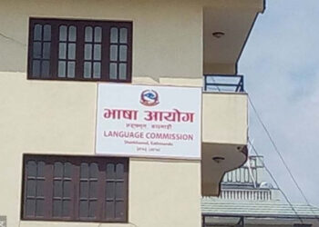 नेपाली भाषामै इम्बोस्ड नम्बर प्लेट राख्ने व्यवस्था गर्न भाषा आयोगको आग्रह