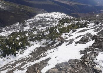 देशका विभिन्न ठाउँमा परेको वर्षाले प्रदूषण घट्योः किसानलाई पनि राहत