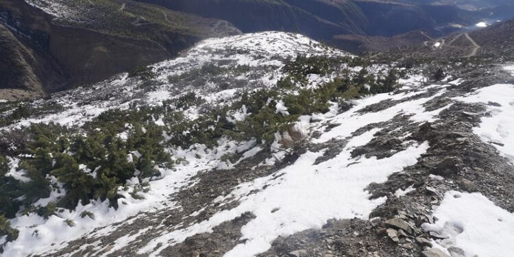 देशका विभिन्न ठाउँमा परेको वर्षाले प्रदूषण घट्योः किसानलाई पनि राहत