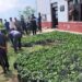 काभ्रेको महाभारतमा सात हजार कफीका बिरुवा वितरण